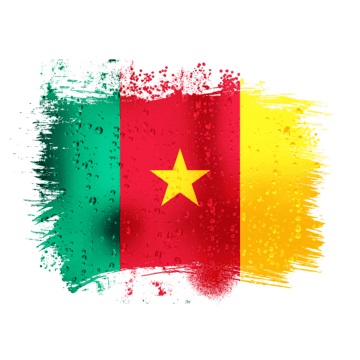 Le Cameroun à votre portée, à petit prix 🇨🇲